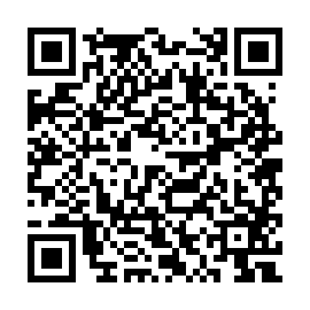 QR code for SYR2869