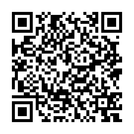 QR code for SYY0356