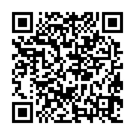 QR code for SZG383