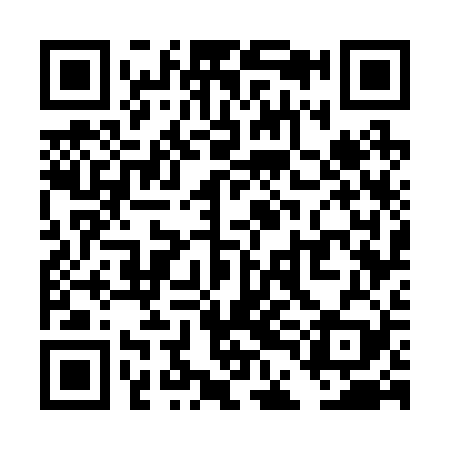QR code for TDG229
