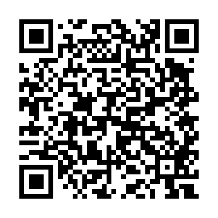 QR code for TDG489