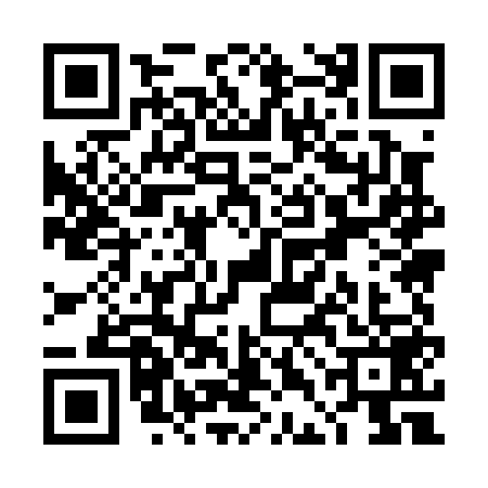 QR code for TDM0595