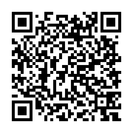 QR code for TDN578