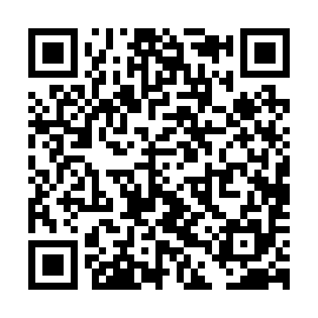 QR code for TDP295