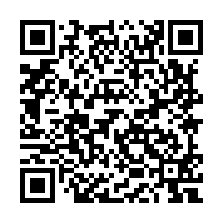 QR code for TEI991