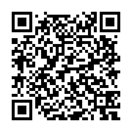 QR code for THI538