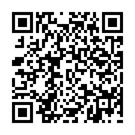 QR code for THN919