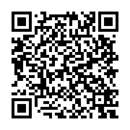 QR code for THY529