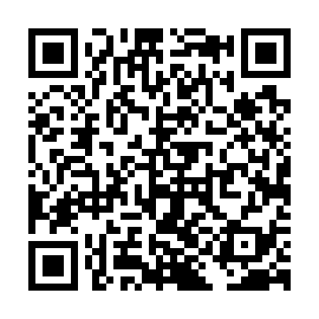 QR code for TID739