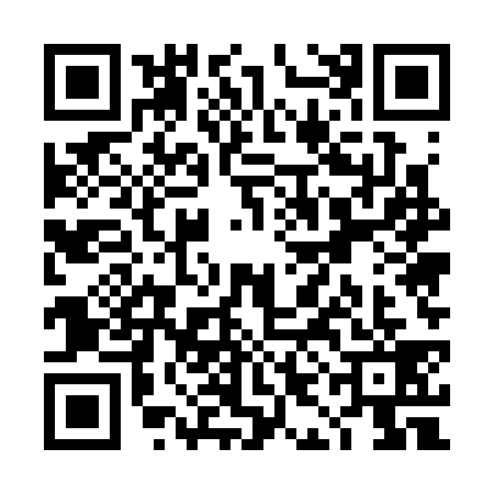 QR code for TIE3395