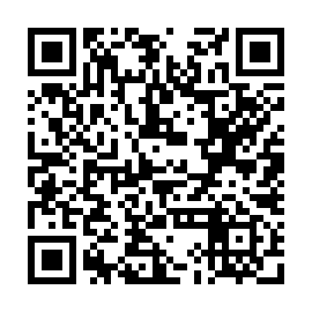 QR code for TIG399