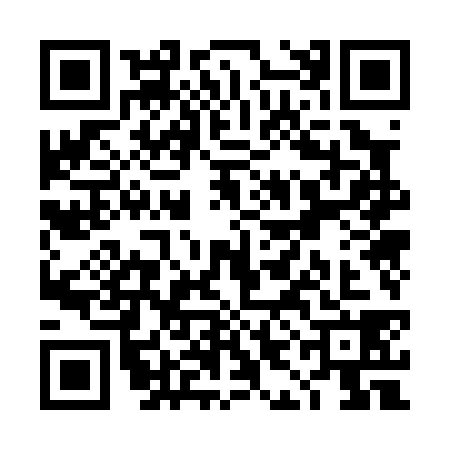 QR code for TIO0383