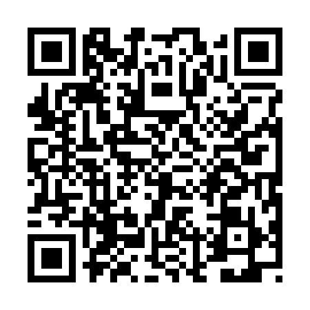 QR code for TLQ2995