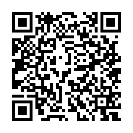QR code for TLZ1613