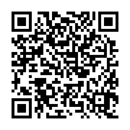 QR code for TMF384