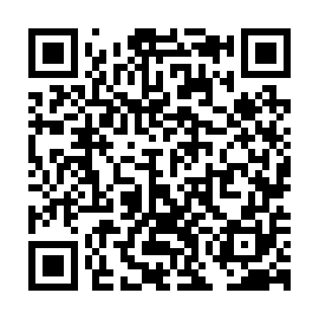 QR code for TON250