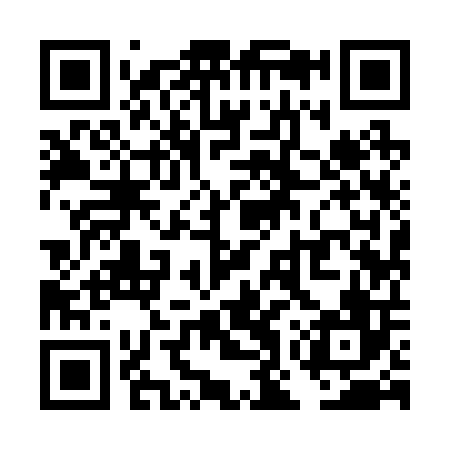 QR code for TOY206