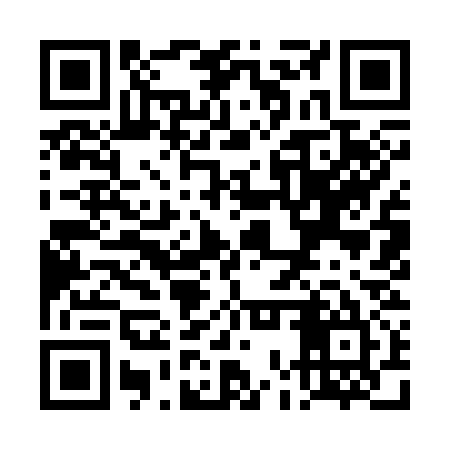 QR code for TOY335