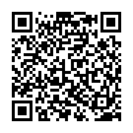 QR code for TPI333
