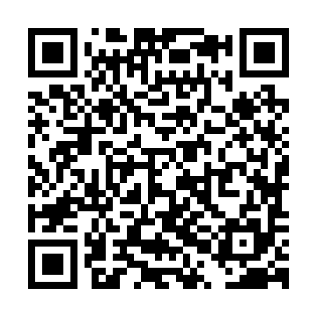 QR code for TPJ295