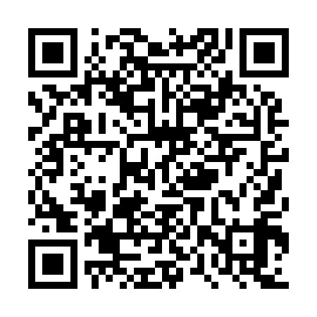 QR code for TPP919