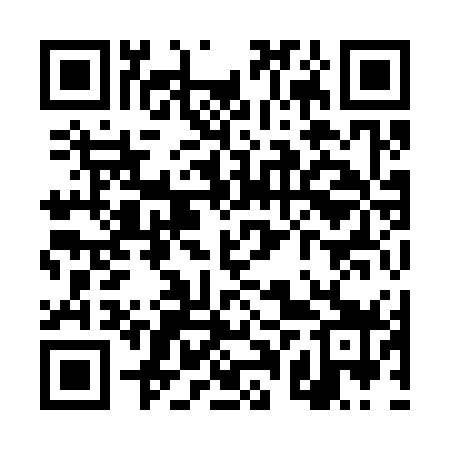 QR code for TPY379
