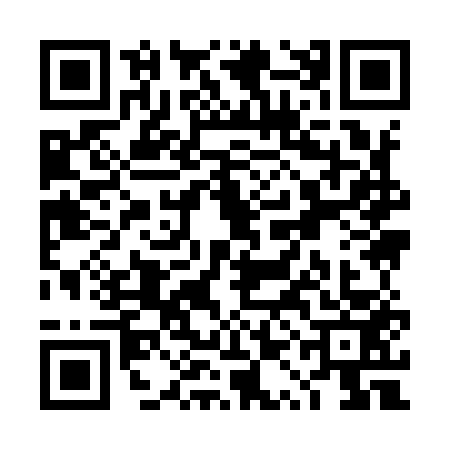 QR code for TQI9533