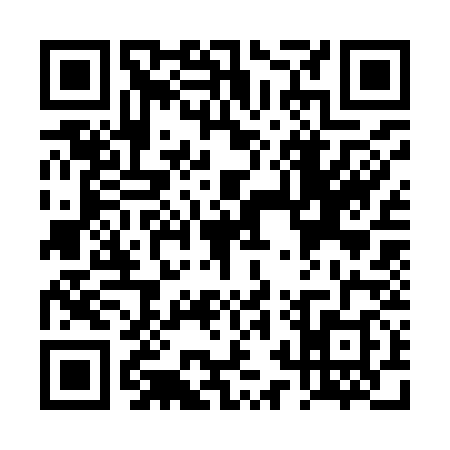 QR code for TRS9383