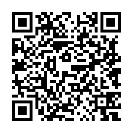 QR code for TRT8381