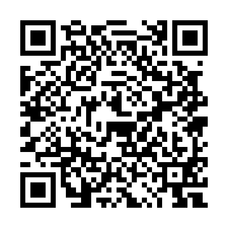 QR code for TSA0919