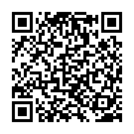 QR code for TSM369