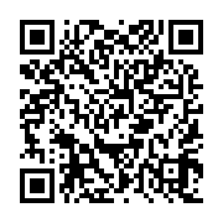 QR code for TTK919