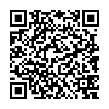 QR code for TTT0381