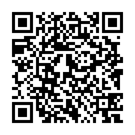 QR code for TVL0383