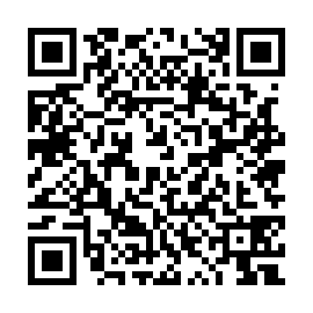 QR code for TYE1381