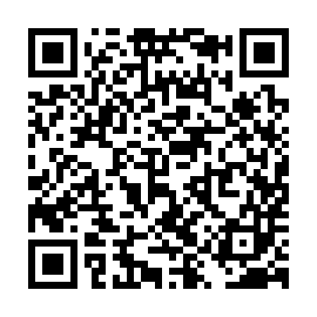 QR code for TYQ383