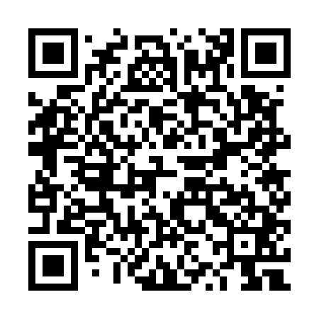 QR code for TZG541