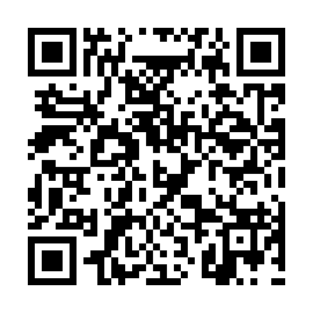 QR code for TZL993
