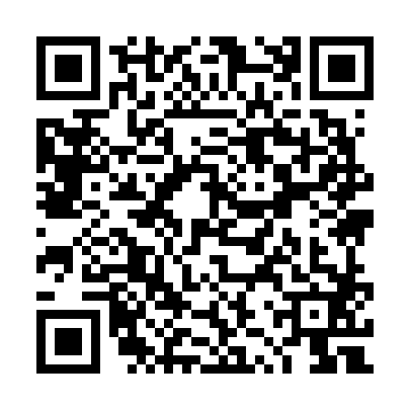 QR code for TZY6829