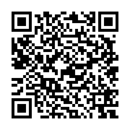 QR code for TZZ4296