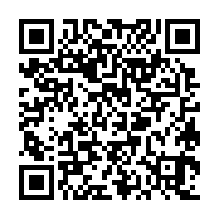 QR code for UAG381