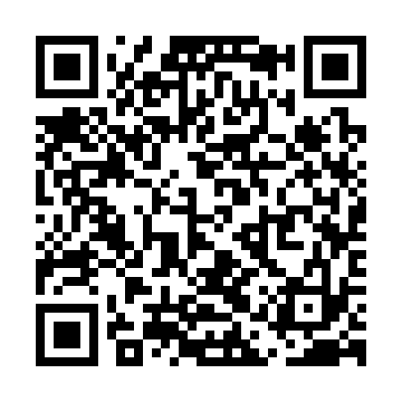 QR code for UAS333