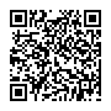 QR code for UAV391