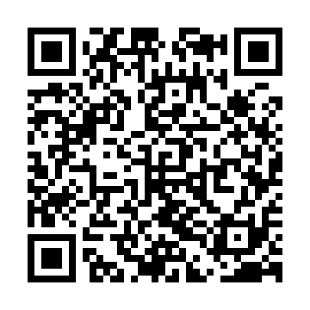 QR code for UDG911