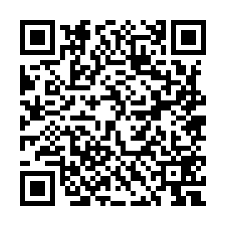 QR code for UDJ9593