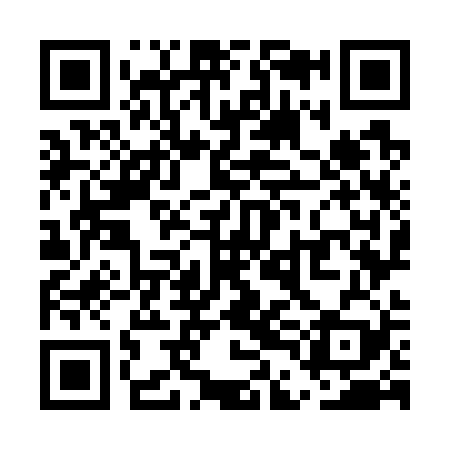 QR code for UDO729
