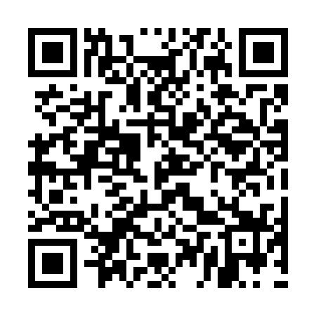 QR code for UDP739