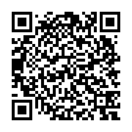 QR code for UDU638