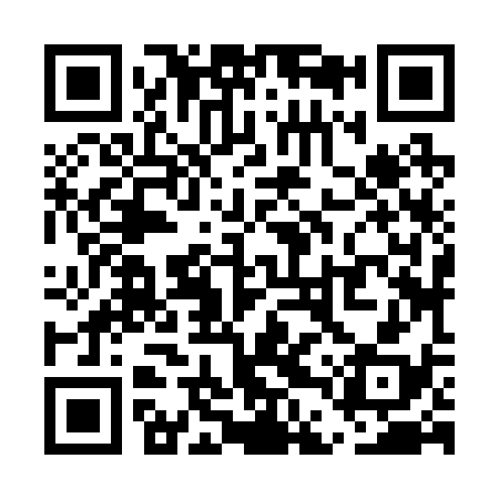 QR code for UDZ238