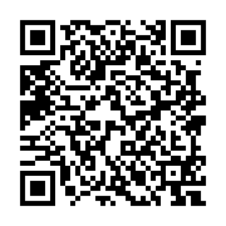 QR code for UMI0941